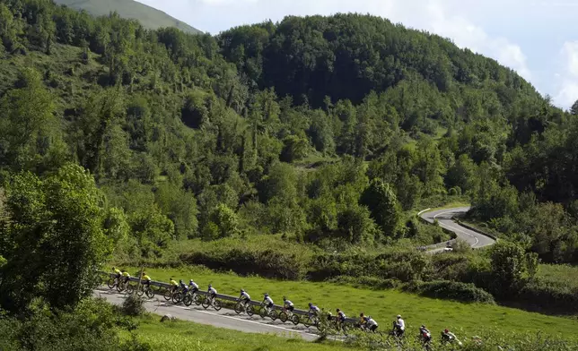 The pack rides during the 4th stage of the Giro d'Italia cycling race, from Catanzaro to Cosenza, Italy, Tuesday, May 12, 2026. (Fabio Ferrari/LaPresse via AP)