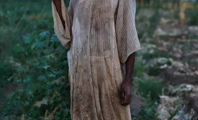 Farmer Omer al Hassan stands in his potato field in Omdurman, on the outskirts of Khartoum, Saturday, April 25, 2026. (AP Photo/Bernat Armangue)