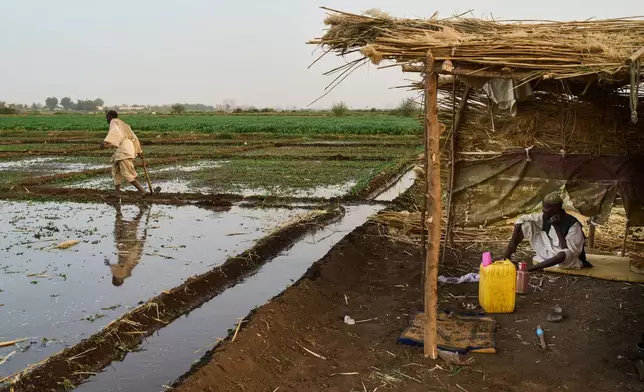 Farmers work in irrigated fields as water fills channels beside a makeshift shelter in Omdurman, on the outskirts of Khartoum, Sunday, April 26, 2026. (AP Photo/Bernat Armangue)