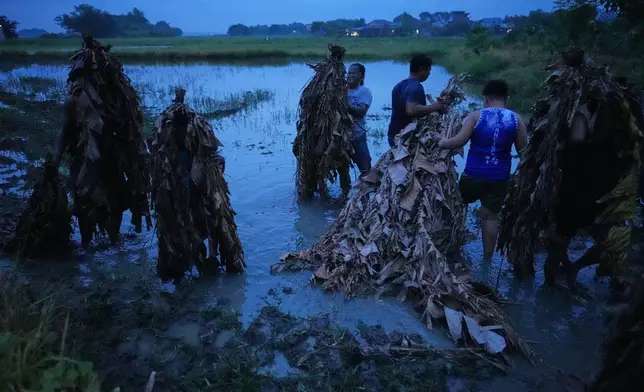 Catholic devotee Mika Castillo, center, and her family members cover themselves with mud at a rice field to participate in the mud people festival on the feast day of Saint John the Baptist at Bibiclat, Nueva Ecija province, northern Philippines on Wednesday, June 24, 2026. (AP Photo/Aaron Favila)