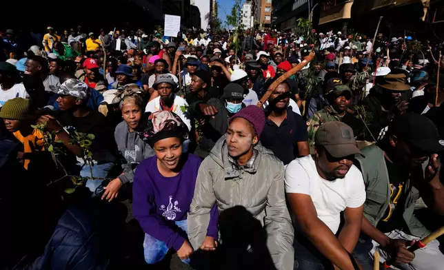 Protesters march against illegal immigration, in Johannesburg, South Africa, Tuesday, June 30, 2026. (AP Photo/Themba Hadebe)