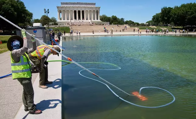 Members of the National Park Service clean algae from the Lincoln Memorial Reflecting Pool, Tuesday, June 16, 2026, in Washington. (AP Photo/Jacquelyn Martin)