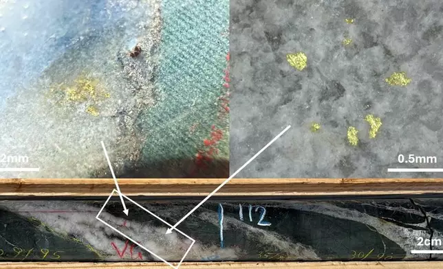 Figure 2: Visible gold in SGPDH26-04 at 112m down hole. Closeups of typical clusters from within the white box are shown