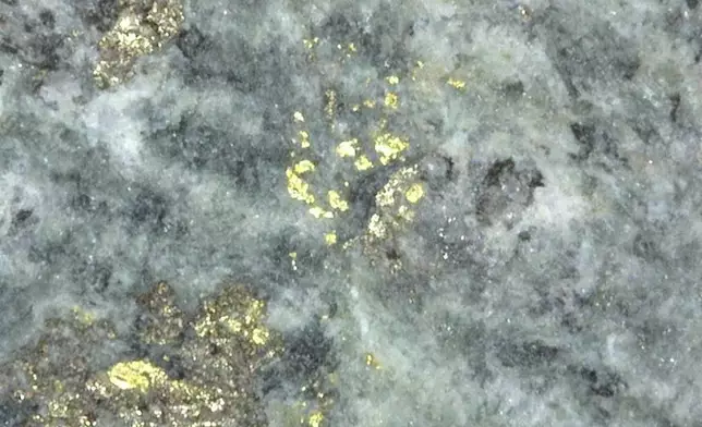 Figure 3: Visible Gold in SGPDH26-11 at 8.10m down hole