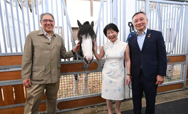 Guests tour Pony World.