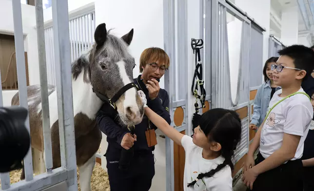 Visitors can visit the stables for a behind-the-scenes look at where the ponies live and learn the basics of horse care.