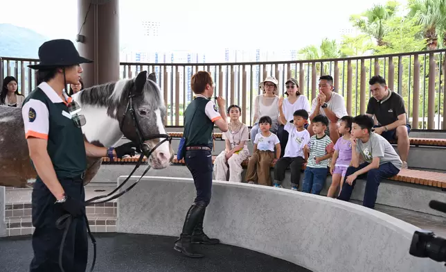Visitors can learn about pony behaviour, care and their unique personalities from professional equestrian coaches in the interactive pony classroom.