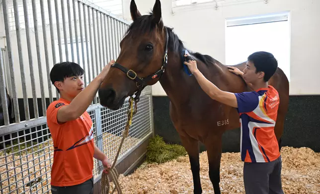 Racing Trainees will study a wide range of courses, including stable management and horse care, preparing trainees for other crucial roles in Hong Kong racing.