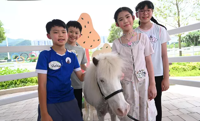 Visitors create magical moments with Shetland ponies.