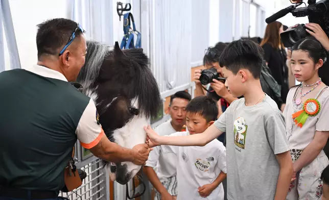 Visitors can visit the stables for a behind-the-scenes look at where the ponies live and learn the basics of horse care.