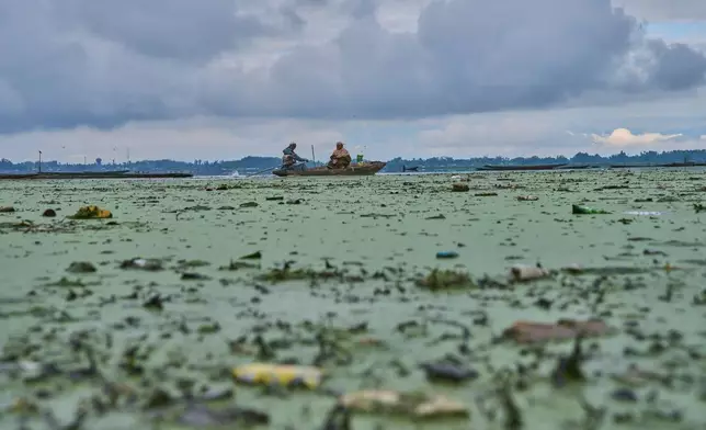 A couple on their way to work row a shikara, a traditional boat, through algae and trash-filled waters of Wular Lake in Bandipora, northeast of Srinagar, Indian controlled Kashmir, Tuesday, May 5, 2026. (AP Photo/Dar Yasin)