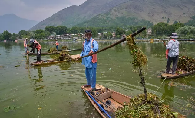 Ghulam Rasool, second from right, a weed cleaner employed by Lake Conservation and Management Authority (LCMA), works at Dal Lake in Srinagar, Indian controlled Kashmir, Wednesday, May 20, 2026. (AP Photo/Dar Yasin)
