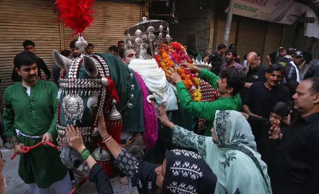 Shiite Muslims touch a horse, that symbolises the horse that carried Imam Hussein during a procession in the mourning month of Muharram, in Peshawar, Pakistan, Wednesday, June 24, 2026. (AP Photo/Muhammad Sajjad)