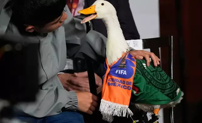 Christian Gomez interacts with his duck Merlin, dressed in a Mexican national soccer team jersey, as they attend the daily press conference by Mexican President Claudia Sheinbaum at the National Palace in Mexico City, Monday, June 22, 2026. (AP Photo/Marco Ugarte)
