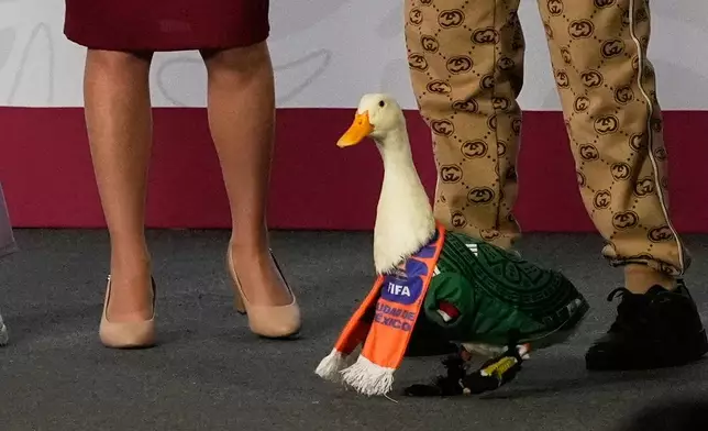 Merlin the duck, dressed in a Mexican national soccer team jersey, attends the daily press conference by Mexican President Claudia Sheinbaum, left, along with his caretakers Carla Gomez and her sons Carlos and at the National Palace in Mexico City, Monday, June 22, 2026. (AP Photo/Marco Ugarte)