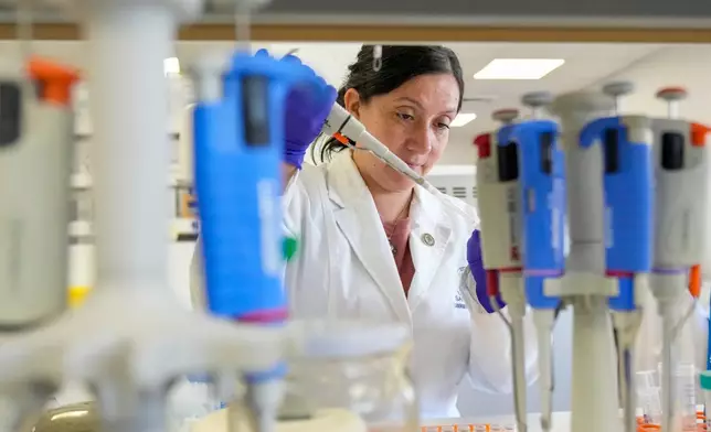 María Inés Barría, a virologist at the Universidad San Sebastián, works at the university, in Santiago, Chile, Wednesday, May 20, 2026. (AP Photo/Esteban Felix)