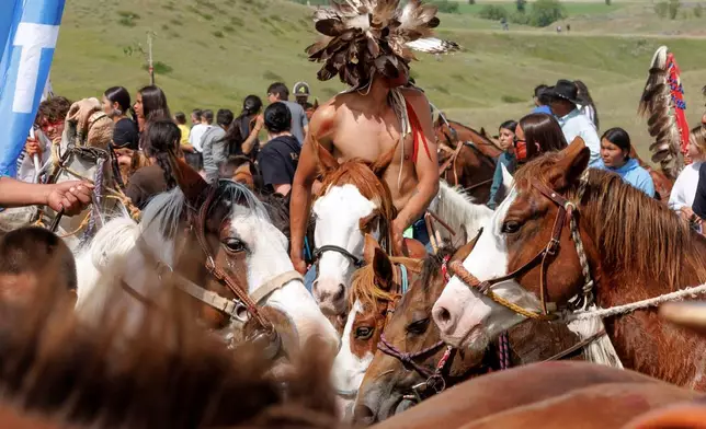 Horses rest after the horse charging event during festivities to commemorate the 150th anniversary of the Battle of the Little Bighorn in Crow Agency, Mont., on Thursday, June 25, 2026. (AP Photo/Tailyr Irvine)