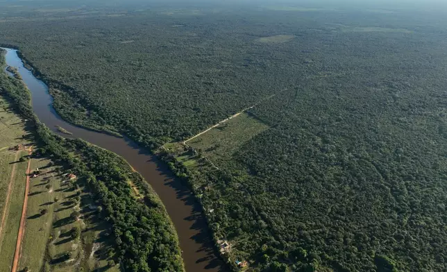 Deforestation, center, from an Indigenous cattle pasture is visible in the Txuiri village of the Javae Indigenous group on Bananal Island in Formoso do Araguaia, Tocantins state, Brazil, Wednesday, May 20, 2026. (AP Photo/Andre Penner)
