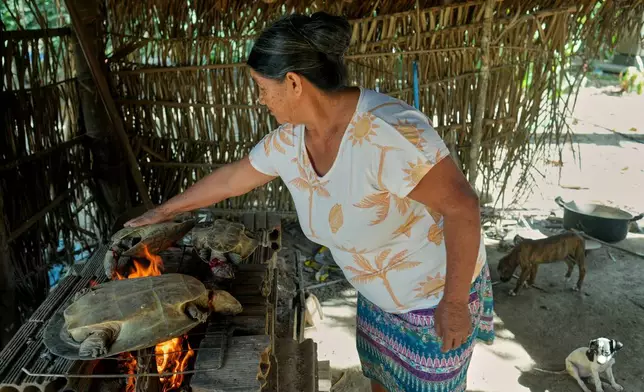 A Javae Indigenous woman roasts turtles for lunch in Boa Esperanca community on Bananal Island in Formoso do Araguaia, Tocantins state, Brazil, Friday, May 22, 2026. (AP Photo/Andre Penner)