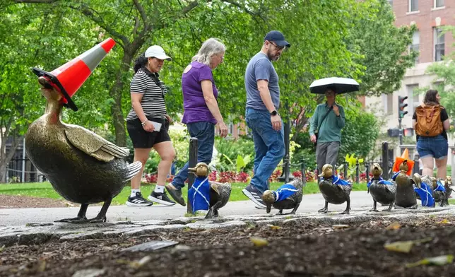 Scotland's fans left the Boston landmark "mother mallard & her ducklings" bronze sculpture decorated with Scottish soccer shirts at a park in the center of Boston, Mass., Monday, June 22, 2026. (AP Photo/Martin Meissner)