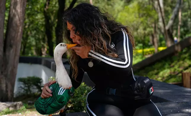 Carla Gomez blows on to her duck Merlin, dressed in a Mexico national soccer team jersey, at a park in Mexico City, during the World Cup, Monday, June 15, 2026. (AP Photo/Marco Ugarte)