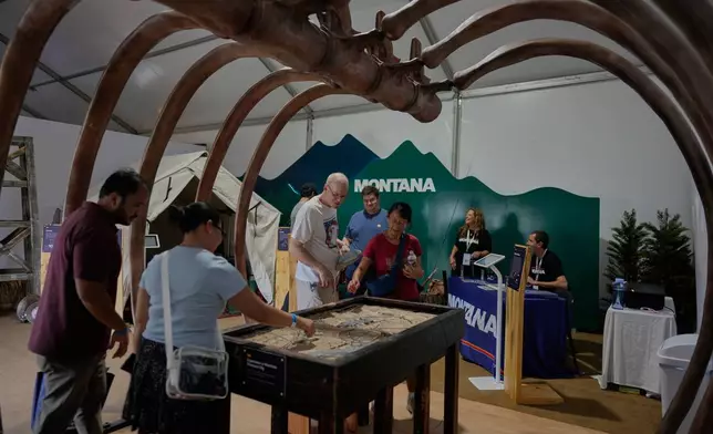 Visitors experience a Montana dinosaur dig in the Montana's exhibit under a a gigantic ribcage, a scaled up version of an apatosaurus, a cousin to the more well known brontosaurus, the during the Great American State Fair on Friday, June 26, 2026, in Washington. (AP Photo/Carolyn Kaster)
