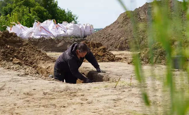 An archaeologists excavates a Viking Age pit house in Aarhus, Denmark, on June 22, 2026. (AP Photo/James Brooks)