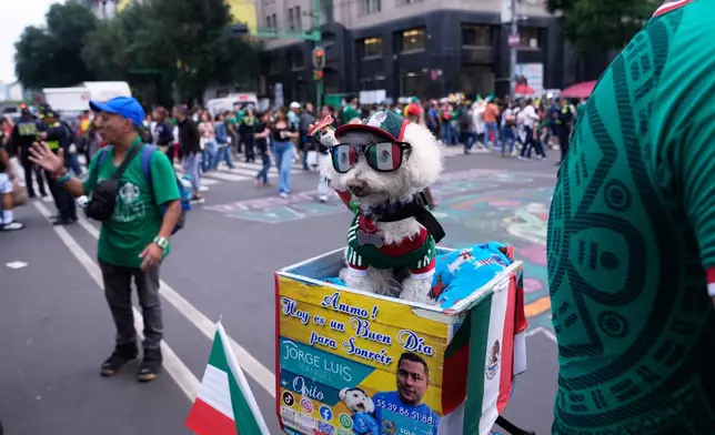 A dog named Osito wears a Mexico national team jersey and rides in a bicycle basket of Jorge Rangel before a World Cup Group A soccer match against South Korea in Mexico City, Thursday, June 18, 2026. (AP Photo/Marco Ugarte)