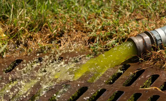 Water from a vacuum line being used by National Park Service employees to clean the Lincoln Memorial Reflecting Pool pours into a nearby drain, Saturday, June 20, 2026, in Washington. (AP Photo/Mark Schiefelbein)