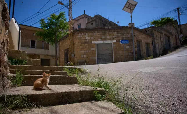 A kitten sits on a sidewalk in the southern town of Marjayoun, Lebanon, Wednesday, June 10, 2026. (AP Photo/Hassan Ammar)
