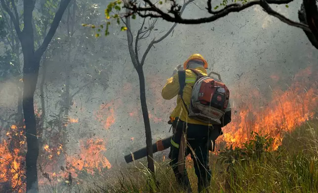 A Xerente Indigenous firefighter attends a controlled burn as part of a fire prevention operation along Brazil's environmental protection agency, IBAMA, at the Xerente territory, near Tocantinia, Tocantins state, Brazil, Tuesday, May 19, 2026. (AP Photo/Andre Penner)