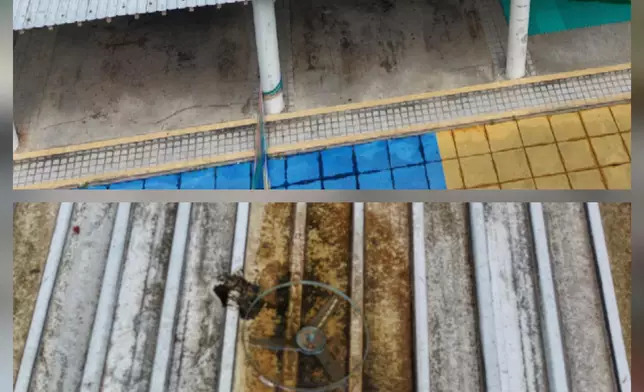 FEHD releases seventh batch of gravidtrap indexes for Aedes albopictus in May   Source: HKSAR Government Press Releases