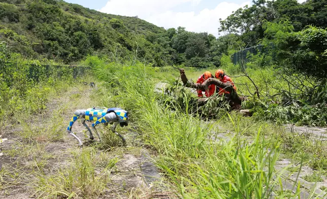 CAS conducts exercise to enhance response to extreme weather and rescue capabilities  Source: HKSAR Government Press Releases