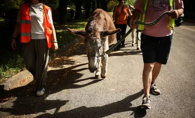 Patients with mental health conditions assisted by staff members and volunteers participate in a therapy session involving donkeys at a psychiatric hospital in Neuilly-sur-Marne, in the eastern suburbs of Paris, Friday, May 29, 2026. (AP Photo/Thomas Padilla)
