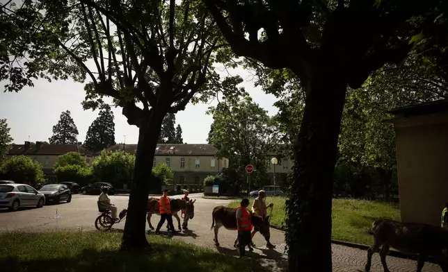 Patients with mental health conditions, assisted by staff members and volunteers, participate in a therapy session involving donkeys at a psychiatric hospital in Neuilly-sur-Marne, in the eastern suburbs of Paris, Friday, May 29, 2026. (AP Photo/Thomas Padilla)