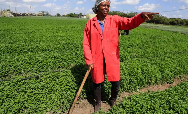 Citadel Agri Merchants Managing Director Yvonne Anyonyi Mumiah gestures during an interview with The Associated Press in Kitengela, Kajiado County, Kenya, on May 22, 2026. (AP Photo/Andrew Kasuku)