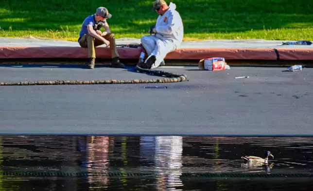 A duck swims by workers in the Lincoln Memorial Reflecting Pool which is being refilled after months of repairs, on Friday, June 5, 2026, in Washington. (AP Photo/John McDonnell
