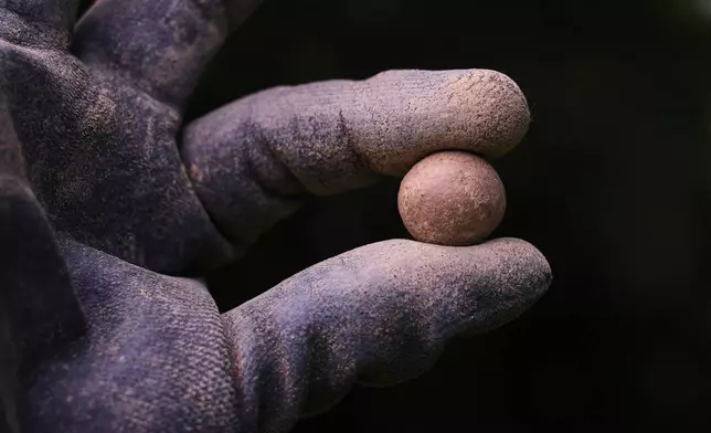 Calla Ruff, an intern from Carleton College, holds a musket ball that was removed from an archaeological dig at the site of the Battle of Bunker Hill, Monday, June 15, 2026, in Boston. (AP Photo/Charles Krupa)