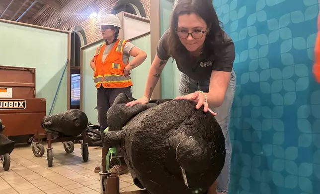 Samantha Moss inspects a cannon, which sunk to the bottom of the Savannah River during the American Revolution, at the Savannah History Museum in Savannah, Ga., on Wednesday, June 3, 2026. (AP Photo/Russ Bynum)