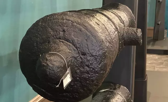 Cannons, which sunk to the bottom of the Savannah River during the American Revolution, sit on a rack after arriving at the Savannah History Museum in Savannah, Ga., on Wednesday, June 3, 2026. (AP Photo/Russ Bynum)