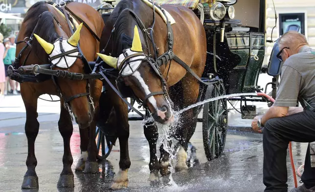 A Fiaker horse carriage rider cools his horses on a hot summer day in the city center of Vienna, Austria, Saturday, June 27, 2026. (AP Photo/Heinz-Peter Bader)