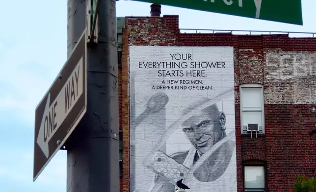 Mr. Clean Everything Shower Campaign