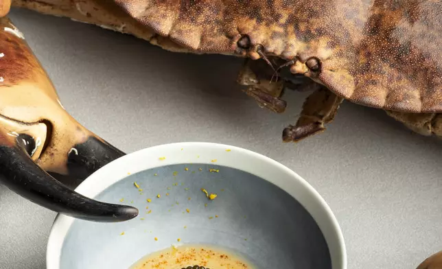 Spring Menu 2026: Brown Crab from Roscoff, Brittany, Topped with Kristal Caviar from Maison Kaviari