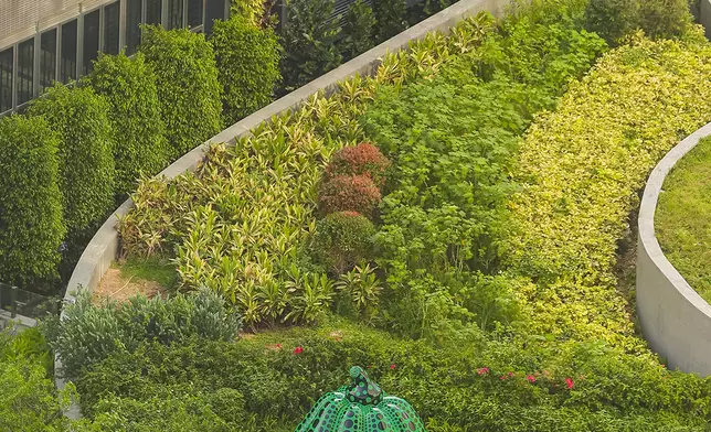 Yayoi Kusama's majestic three-metre emerald green 'Pumpkin' sculpture with black polka dots at the Open Area of The Twins Tower I