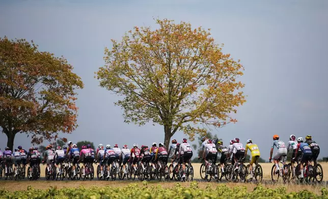 Slovenia's Tadej Pogacar, wearing the overall leader's yellow jersey, rides with the pack during the eleventh stage of the Tour de France cycling race with start in Vichy and finish in Nevers, France, Wednesday, July 15, 2026. (AP Photo/Mosa'ab Elshamy)
