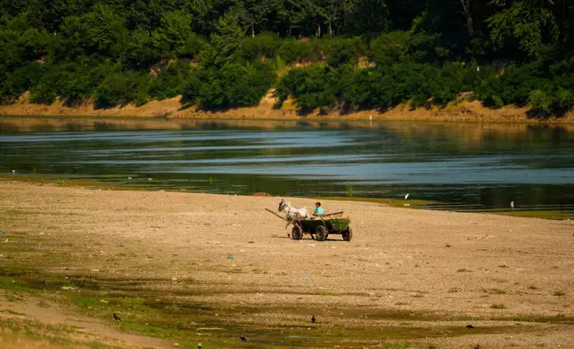 A man rides his horse-pulled cart on a bank of sand on the Danube River, as usually submerged areas are exposed due to extreme low levels of the water following an extended period of drought in Roseti, Romania, Wednesday, July 29, 2026. (AP Photo/Andreea Alexandru)