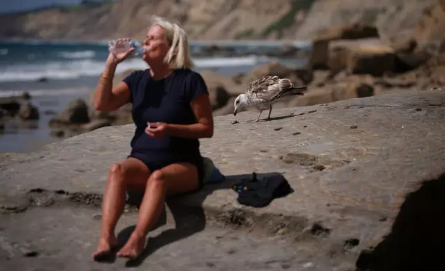Brooke Lafrenz takes a drink of water as she shares a rock with a seabird along Blacks Beach on Wednesday, May 6, 2026, in San Diego. (AP Photo/Gregory Bull)