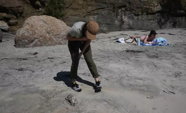 Marine ornithologist Tammy Russell, left, looks at a dead seabird near a beach goer during a survey along Blacks Beach on Wednesday, May 6, 2026, in San Diego. (AP Photo/Gregory Bull)