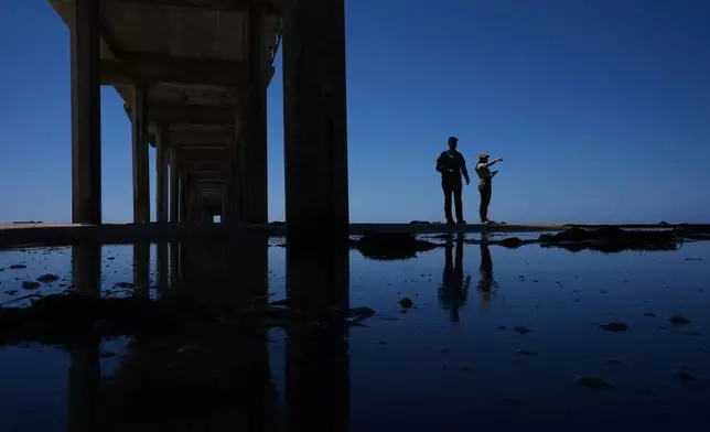 Marine ornithologist Tammy Russell, right, and Alex Rubenstein search for dead seabirds under Scripps Pier during a survey Wednesday, May 6, 2026, in San Diego. (AP Photo/Gregory Bull)