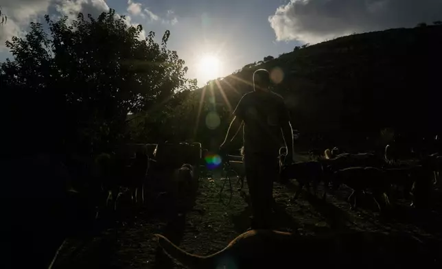 Hussein Hamza, feeds pets left behind by their owners after they fled following the outbreak of the latest Israel-Hezbollah war, at his animal shelter in the village of Kfaroue, near Nabatiyeh, southern Lebanon, Thursday, July 2, 2026. (AP Photo/Bilal Hussein)